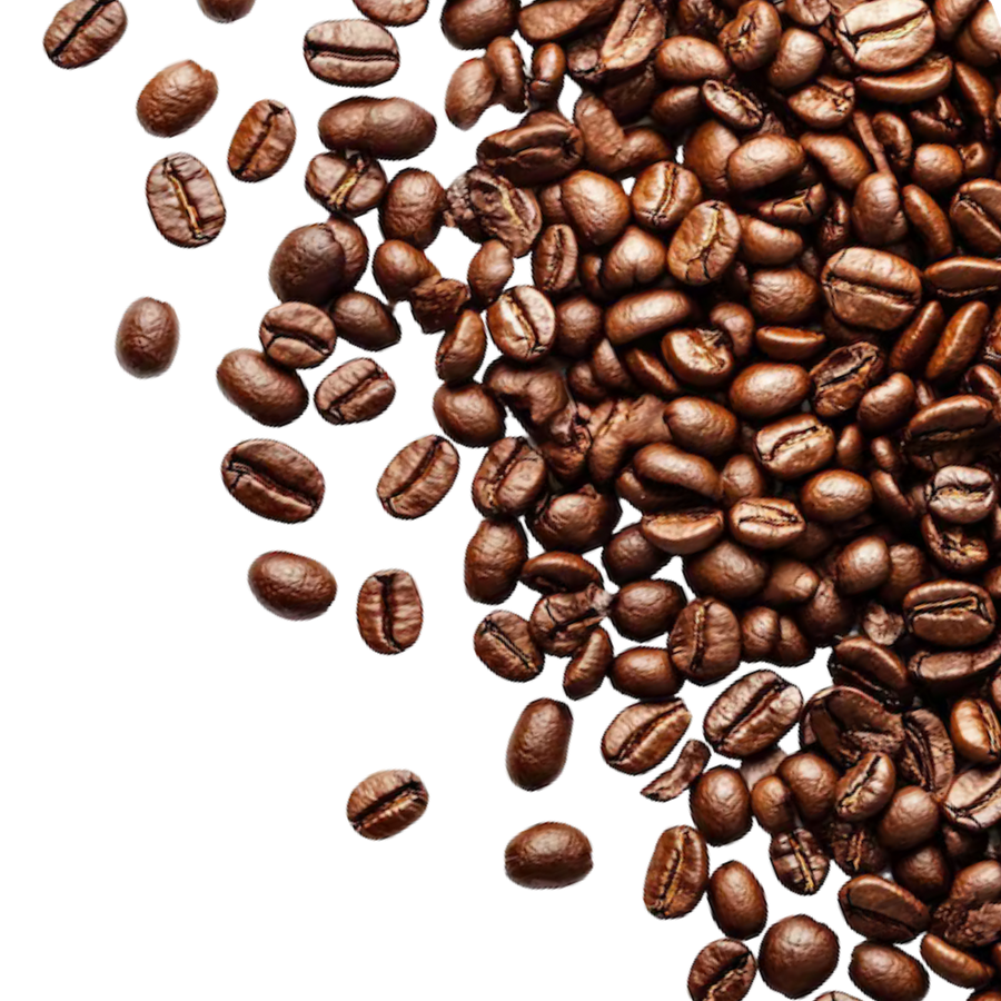 Caféine